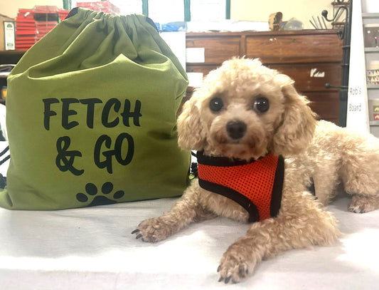 Meet Timmy; Pat's Beloved Companion